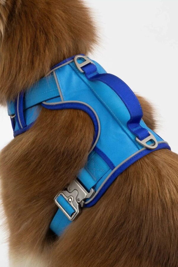 Dockside Adventures Ultimate Harness - Image 6