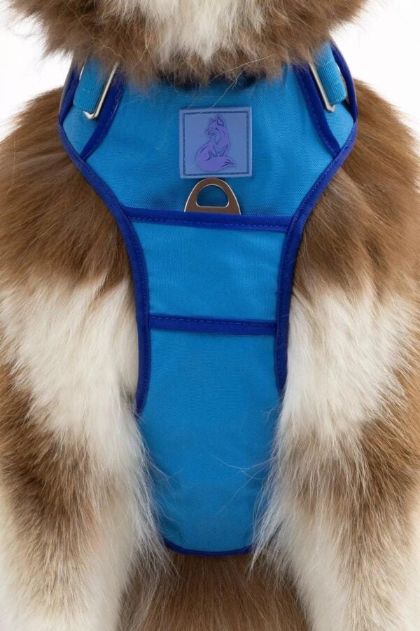 Dockside Adventures Ultimate Harness - Image 3