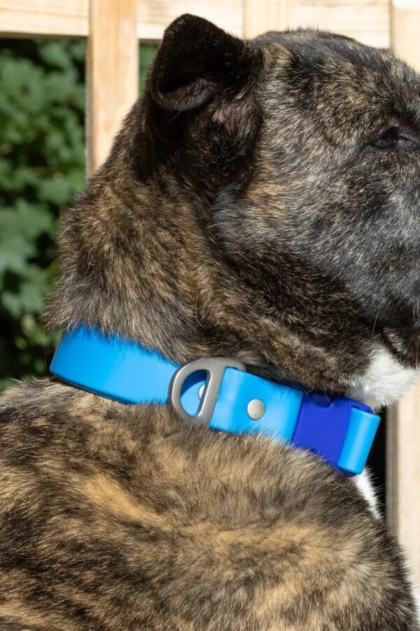 Dockside Adventures Waterproof Dog Collar - Image 2