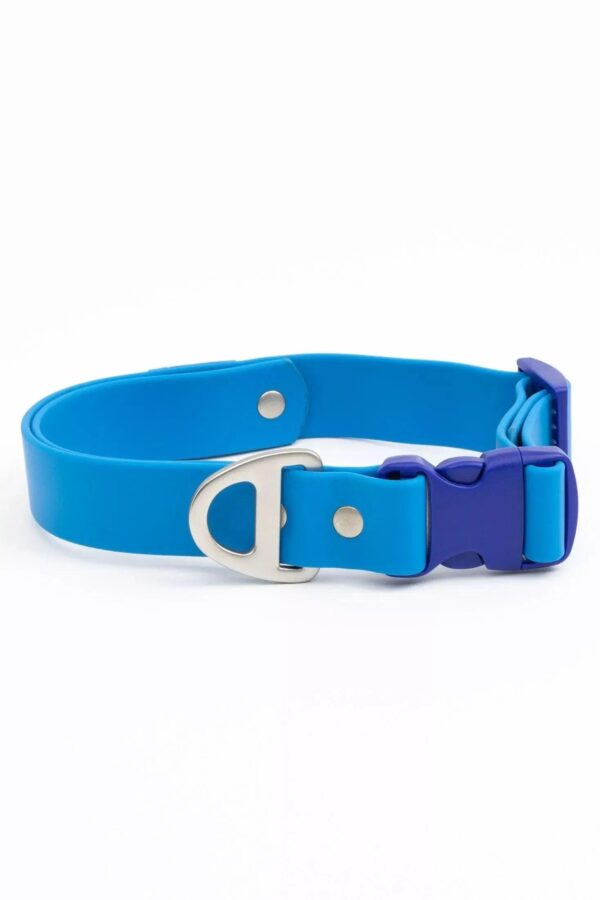 Dockside Adventures Waterproof Dog Collar - Image 11
