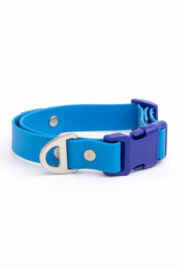 Dockside Adventures Waterproof Dog Collar - Image 6