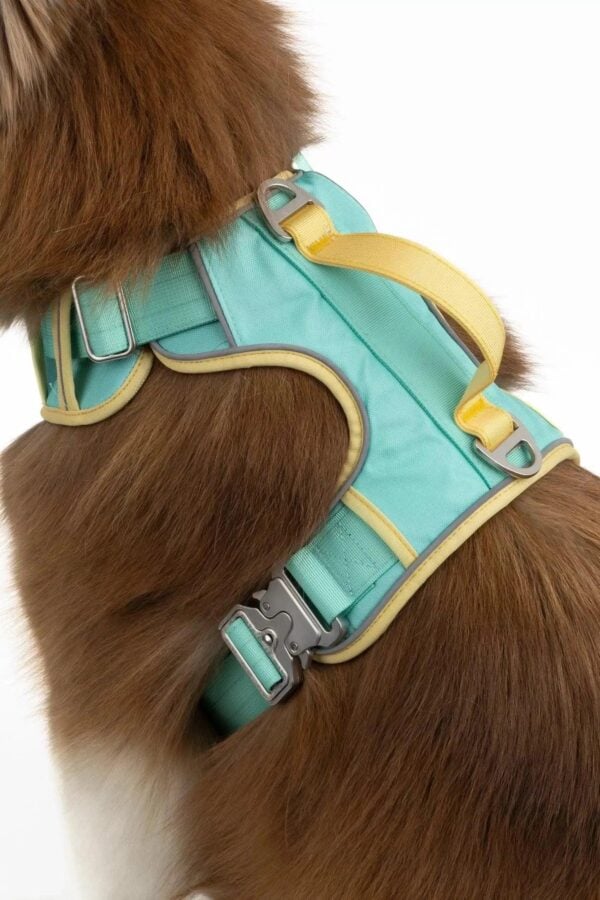 Island Vibes Ultimate Dog Harness - Image 6