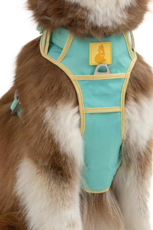 Island Vibes Ultimate Dog Harness - Image 4