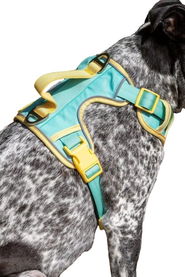 Island Vibes Ultimate Dog Harness - Image 5