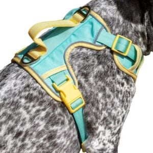 Island Vibes Ultimate Dog Harness