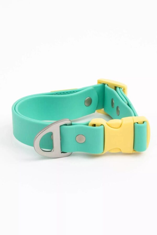 Island Vibes Waterproof Dog Collar - Image 9