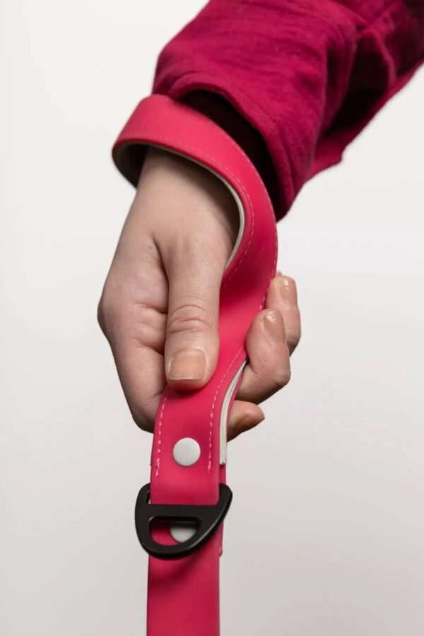 Red Mountain Syrah Waterproof Dog Leash - Image 2