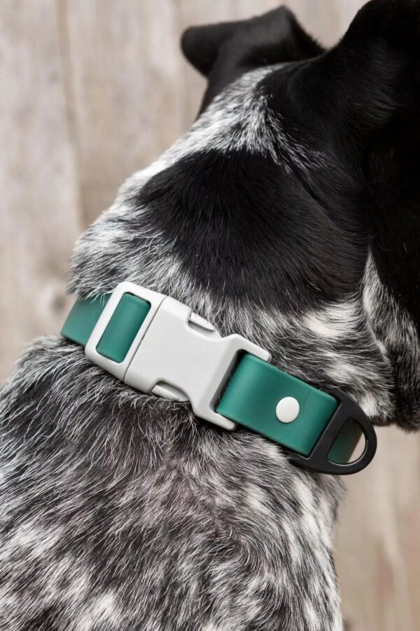 Siberian Spruce Waterproof Dog Collar - Image 2