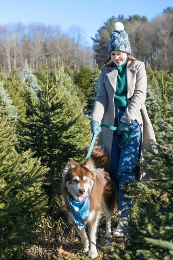 Siberian Spruce Waterproof Dog Leash - Image 4