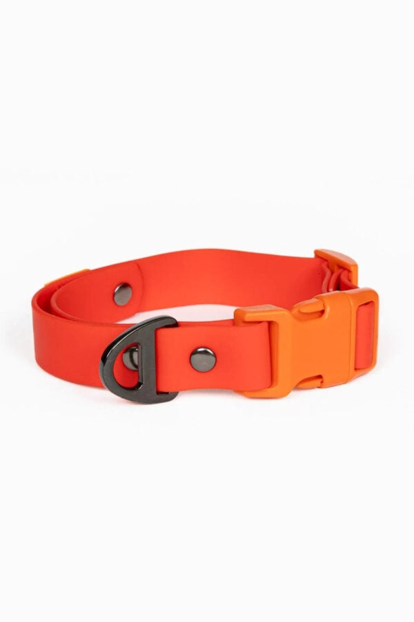 Scarlet Peaks Waterproof Dog Collar - Image 6