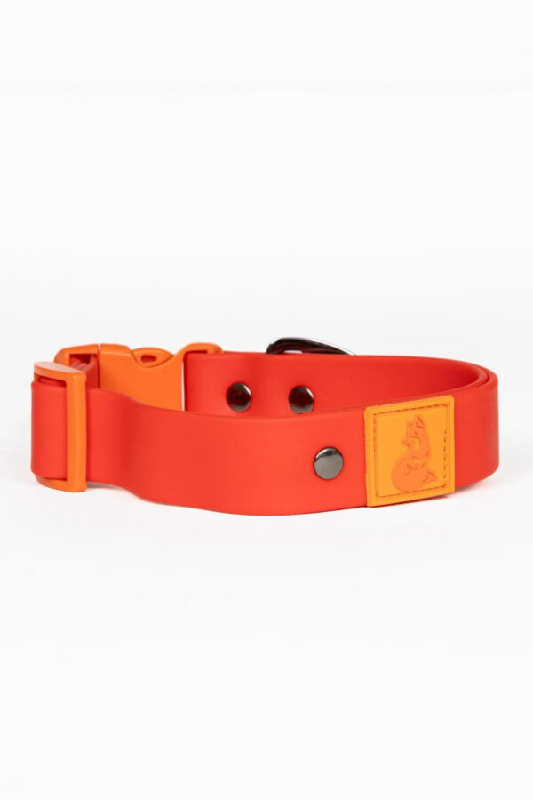 Scarlet Peaks Waterproof Dog Collar - Image 3