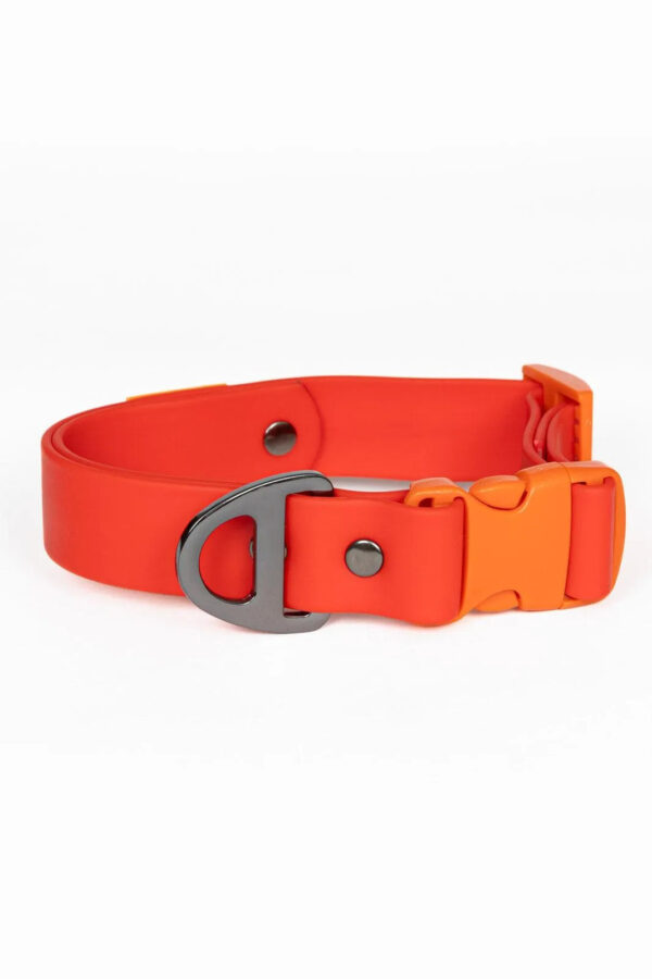 Scarlet Peaks Waterproof Dog Collar - Image 9