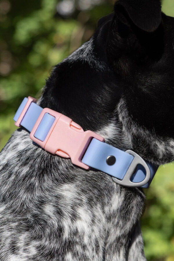 Blue Sky Orchid Waterproof Dog Collar - Image 7