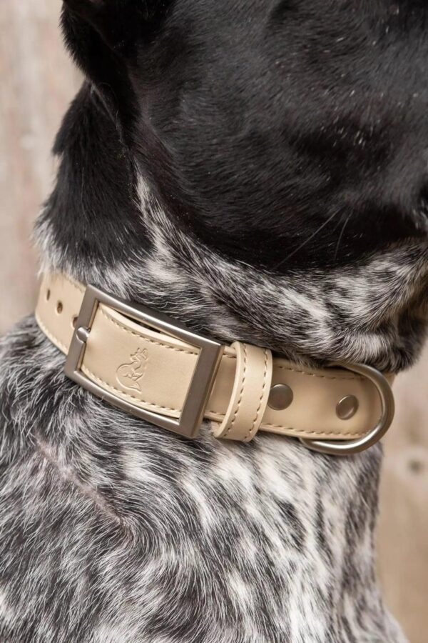 Champagne Fizz Vegan Leather Dog Collar - Image 2