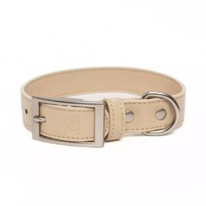 Champagne Fizz Vegan Leather Dog Collar