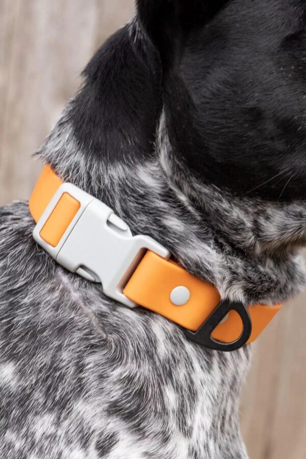 Crimson Glow Waterproof Dog Collar - Image 2