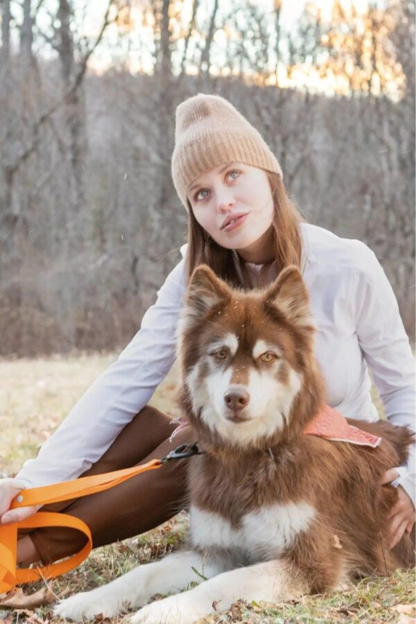 Crimson Glow Waterproof Dog Collar - Image 4