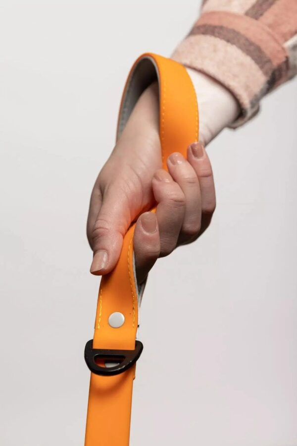 Crimson Glow Waterproof Dog Leash - Image 3