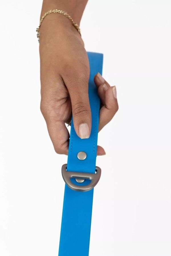 Dockside Adventures Waterproof Dog Leash - Image 3