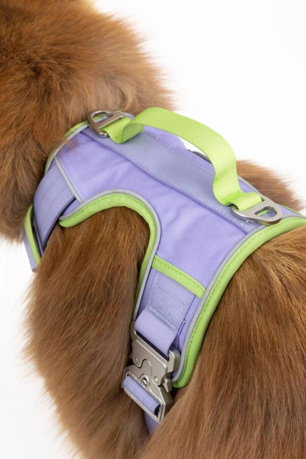 Lavender Garden Ultimate Dog Harness - Image 7
