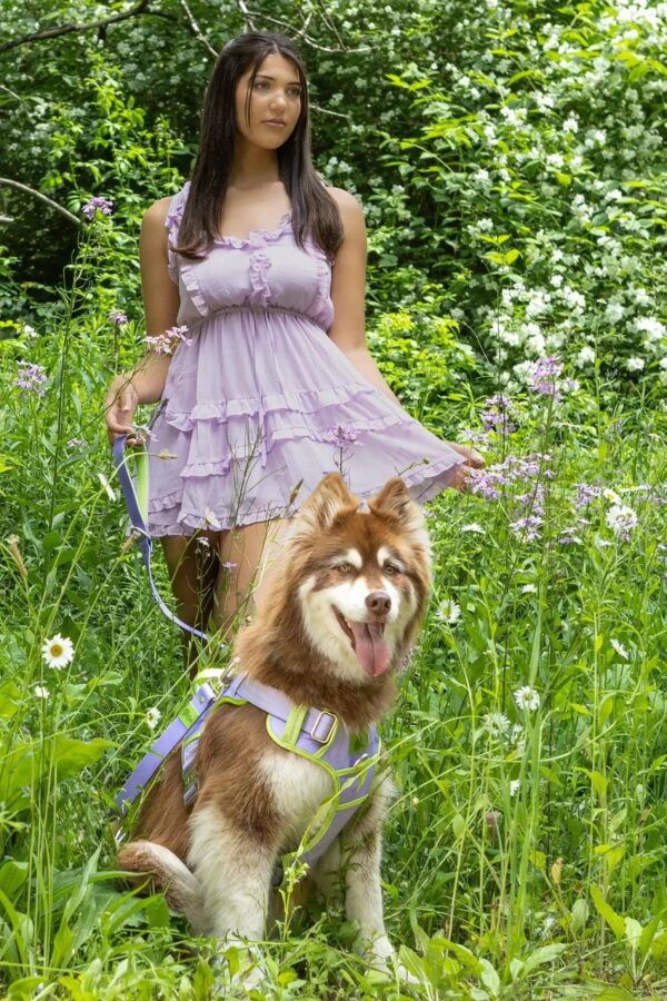 Lavender Garden Ultimate Dog Harness - Image 3