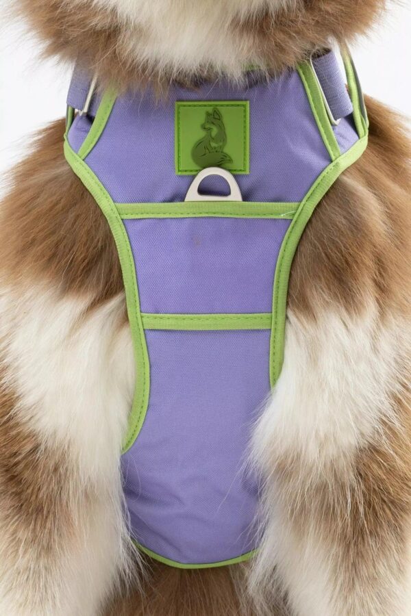 Lavender Garden Ultimate Dog Harness - Image 4