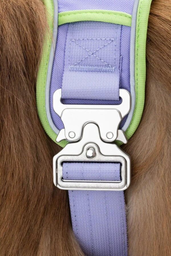 Lavender Garden Ultimate Dog Harness - Image 5