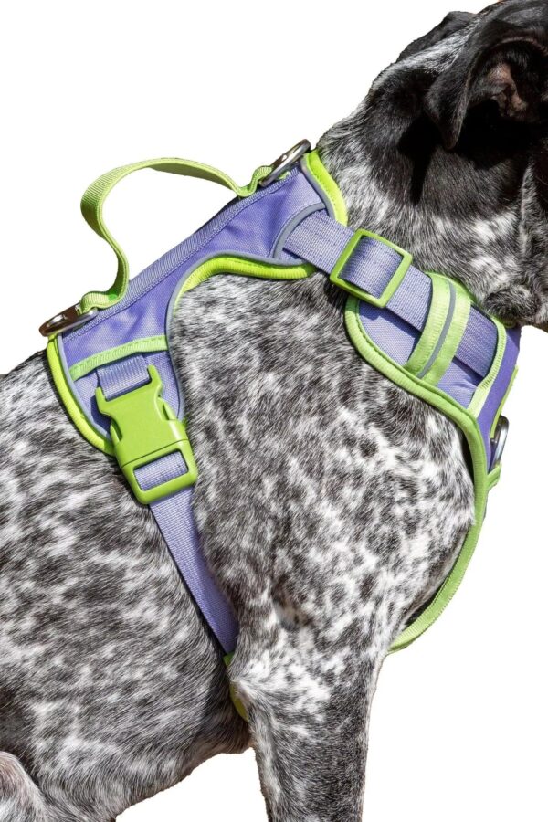 Lavender Garden Ultimate Dog Harness - Image 6