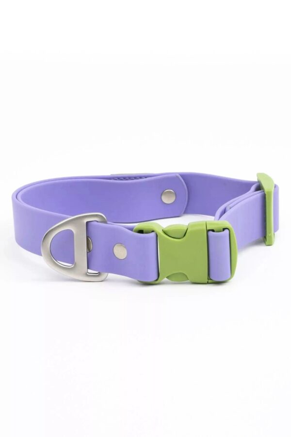 Lavender Garden Waterproof Dog Collar - Image 9