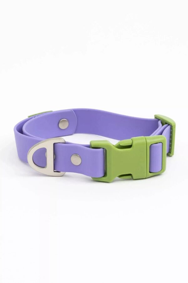 Lavender Garden Waterproof Dog Collar - Image 7