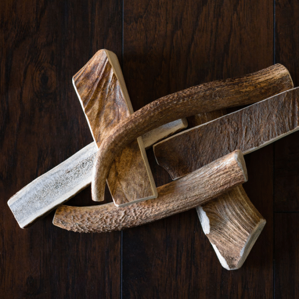 Medium Elk Chew - Image 4