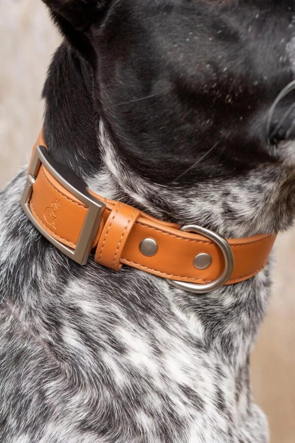 Sierra Sunrise Vegan Leather Dog Collar - Image 2