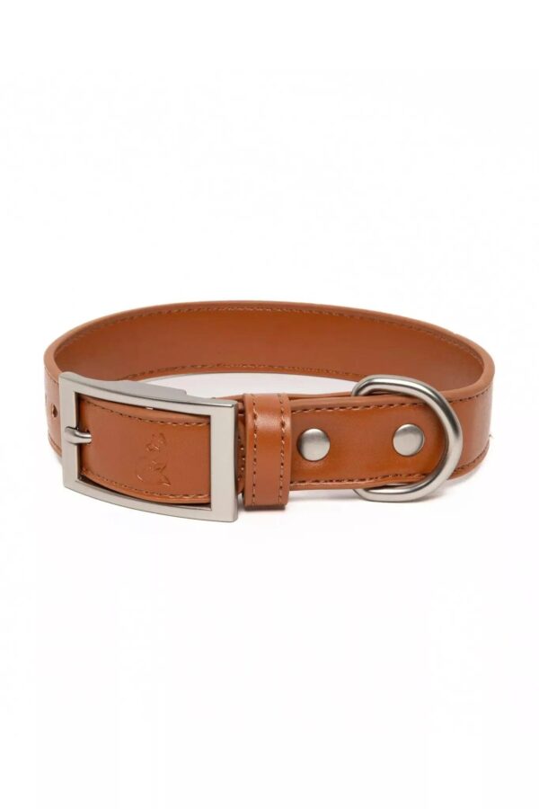 Sierra Sunrise Vegan Leather Dog Collar - Image 5