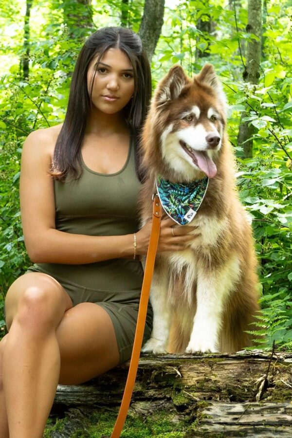 Sierra Sunrise Vegan Leather Dog Collar - Image 3