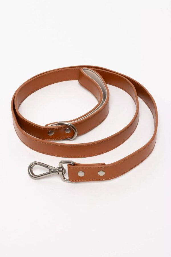 Sierra Sunrise Vegan Leather Dog Leash - Image 6