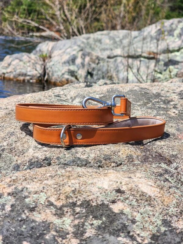 Sierra Sunrise Vegan Leather Dog Leash - Image 4
