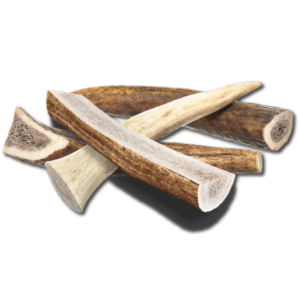 Small Elk Chew - Image 5