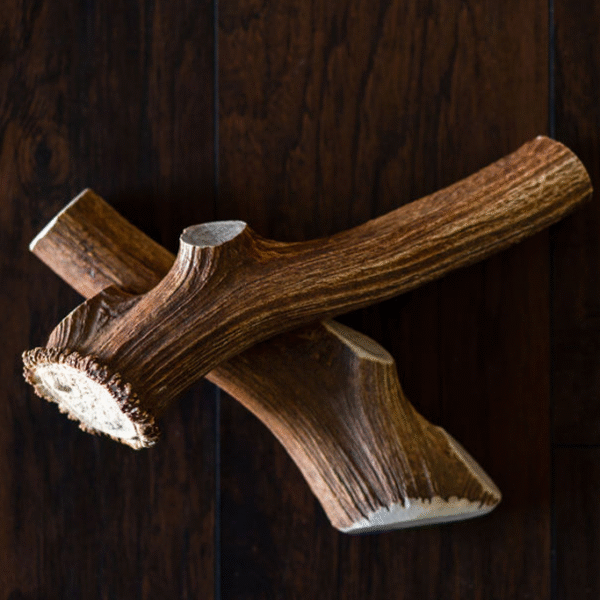T-Rex Elk Antler Chew