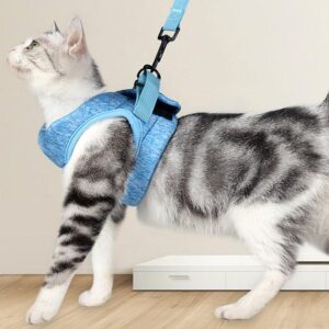 Lightweight Lace Cat Leash And Chest Strap Set - Stylish And Comfortable Outdoor Cat Harness