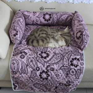 Cat Couch Protector Bed