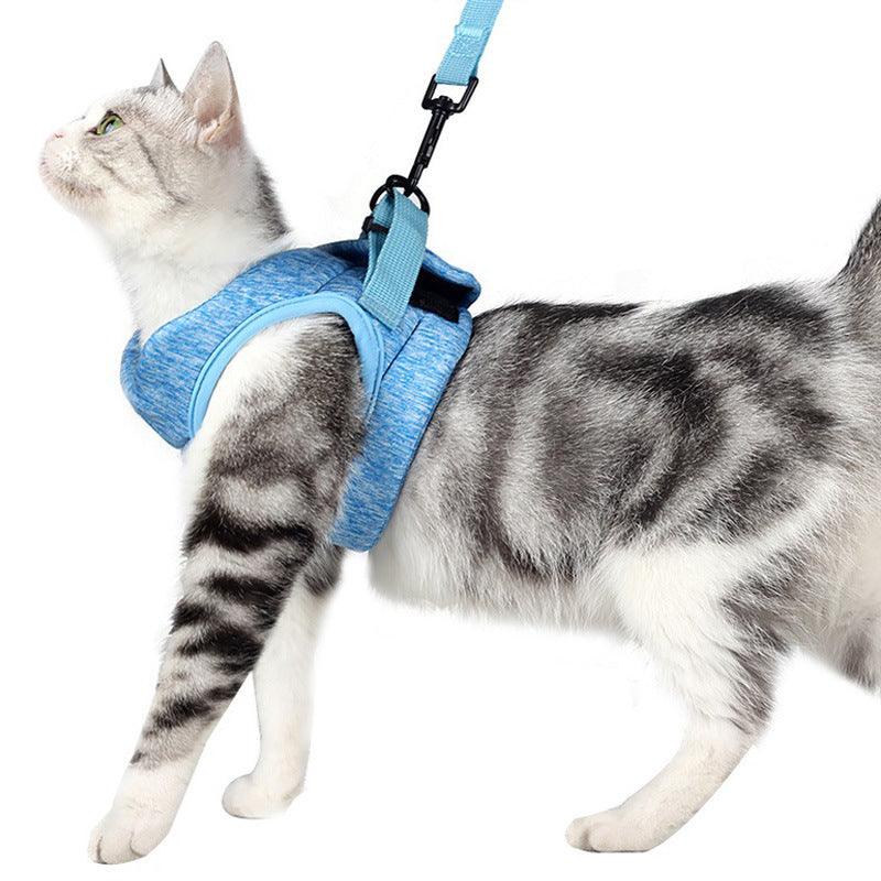 Lightweight Lace Cat Leash And Chest Strap Set - Stylish And Comfortable Outdoor Cat Harness - Image 5