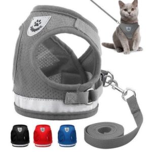 Breathable Mesh Pet Leash With Reflective Design And Matching Belt