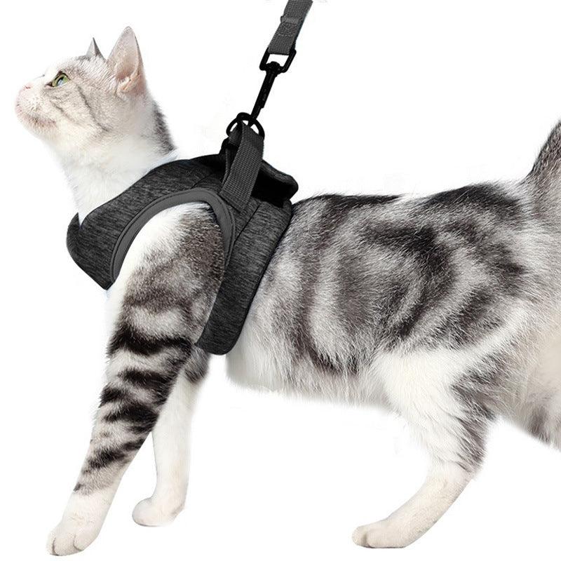 Lightweight Lace Cat Leash And Chest Strap Set - Stylish And Comfortable Outdoor Cat Harness - Image 2