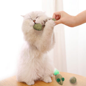 Catnip Treat Toys