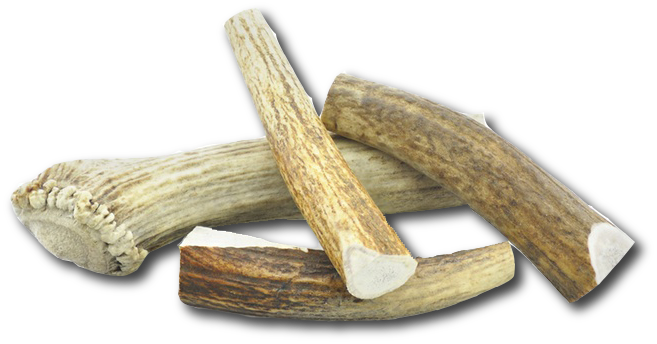 Large Elk Chew - Image 4